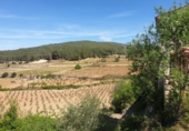 Detached villa with land for sale on España, l'Arboçar de Baix, ref: TR218250 photo