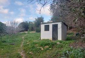 Foto 12