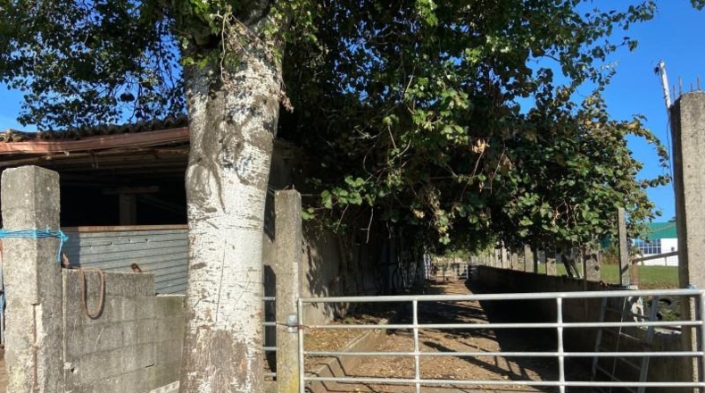 Pontevedra - Lalín - 50000m2