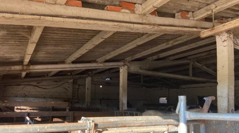Pontevedra - Lalín - 50000m2