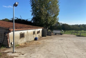 Foto 15