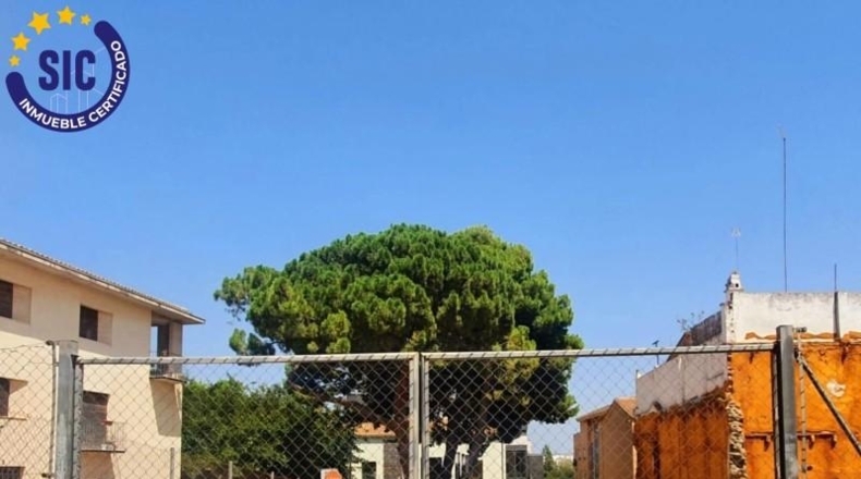 València - Quart de Poblet - 478m2