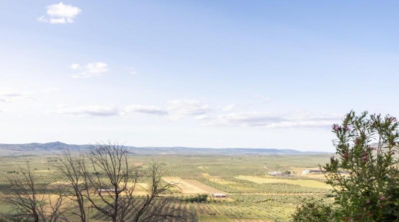 Jaén - Castellar - 36295m2