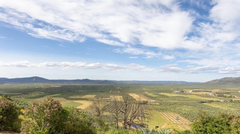 Jaén - Castellar - 36295m2
