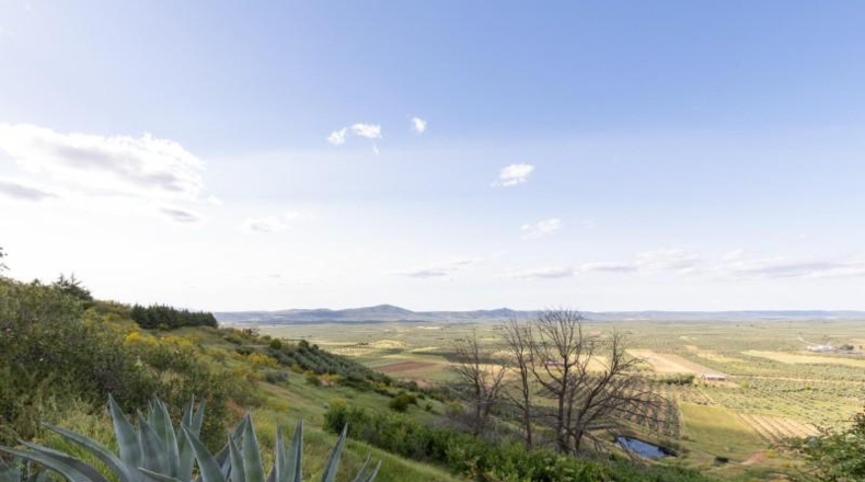 Jaén - Castellar - 36295m2