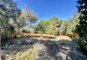 Casa con terreno en venta en la España, Torrent, ref: TR318624 foto
