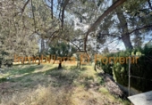 Casa con terreno en venta en la España, Torrent, ref: TR318624 foto
