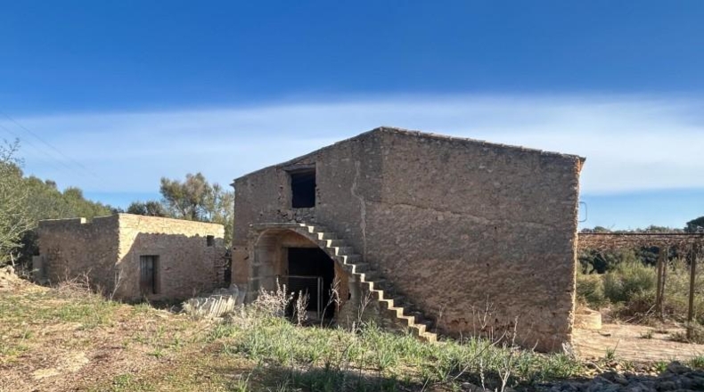 Islas Baleares - Manacor - 85000m2
