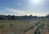Chalet independiente con terreno en venta en la España, Manacor, ref: TR156712 foto
