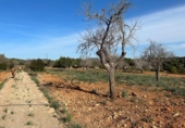 Chalet independiente con terreno en venta en la España, Manacor, ref: TR156712 foto