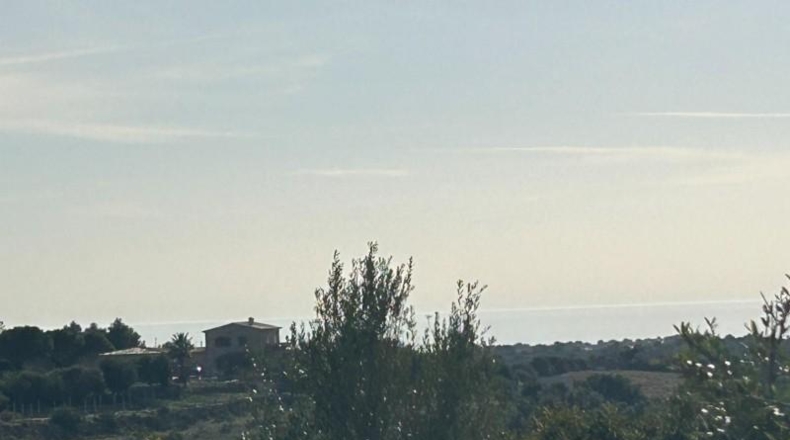 Islas Baleares - Manacor - 85000m2
