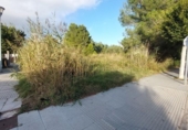 Terreno no urbanizable en venta en la España, Alcúdia, ref: TR172514 foto