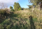 Terreno no urbanizable en venta en la España, Alcúdia, ref: TR172514 foto