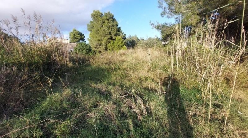 Balearic Islands - Alcudia - 1327m2
