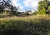 Terreno no urbanizable en venta en la España, Alcúdia, ref: TR172514 foto
