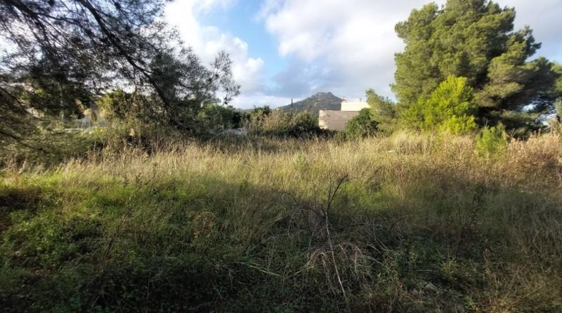 Balearic Islands - Alcudia - 1327m2