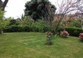 Chalet independiente con terreno en venta en la España, Nigrán, ref: TR355925 foto