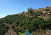 Terreno no urbanizable en venta en la España, Salobreña, ref: TR219750 foto
