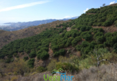 Terreno no urbanizable en venta en la España, Salobreña, ref: TR219750 foto