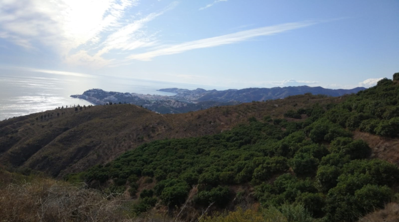 Granada - Salobreña - 40000m2