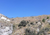 Terreno no urbanizable en venta en la España, Dílar, ref: TR244822 foto
