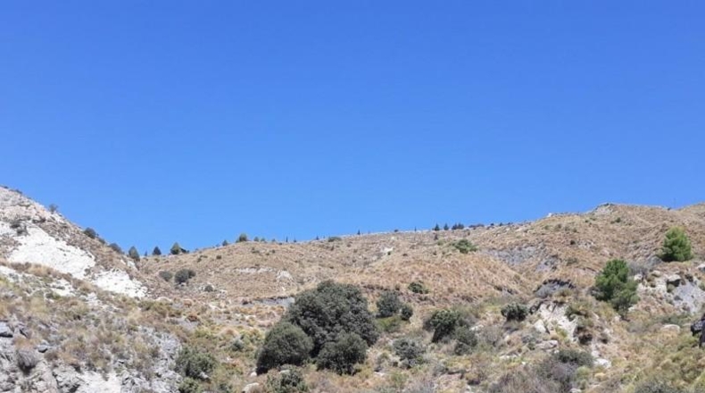 Granada - Dílar - 2556695m2