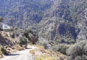 Terreno no urbanizable en venta en la España, Dílar, ref: TR244822 foto