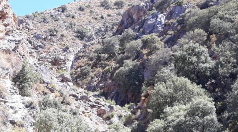Granada - Dílar - 2556695m2