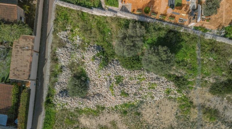 Balearic Islands - Calvià - 979m2