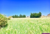 Terreno no urbanizable en venta en la España, Barbate, ref: TR405676 foto