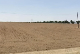 Mérida 100000&nbsp;m²