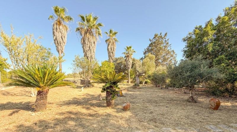Islas Baleares - Costitx - 27048m2