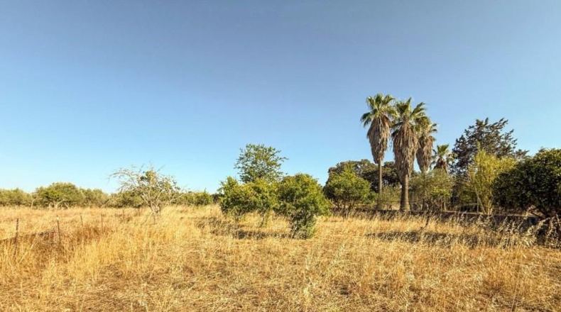 Islas Baleares - Costitx - 27048m2