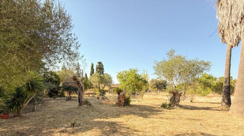 Islas Baleares - Costitx - 27048m2