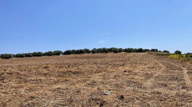 Malaga - Mollina - 142500m2