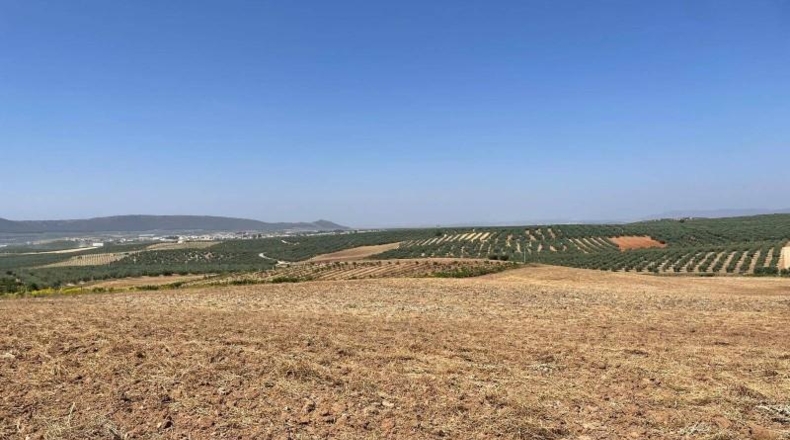 Malaga - Mollina - 142500m2