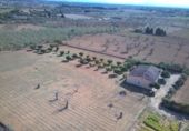 Chalet independiente con terreno en venta en la España, Porreras, ref: TR156709 foto