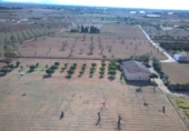 Chalet independiente con terreno en venta en la España, Porreras, ref: TR156709 foto