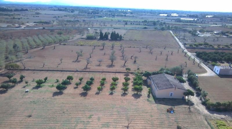 Islas Baleares - Porreres - 22600m2