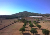 Chalet independiente con terreno en venta en la España, Porreras, ref: TR156709 foto