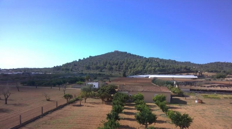 Islas Baleares - Porreres - 22600m2