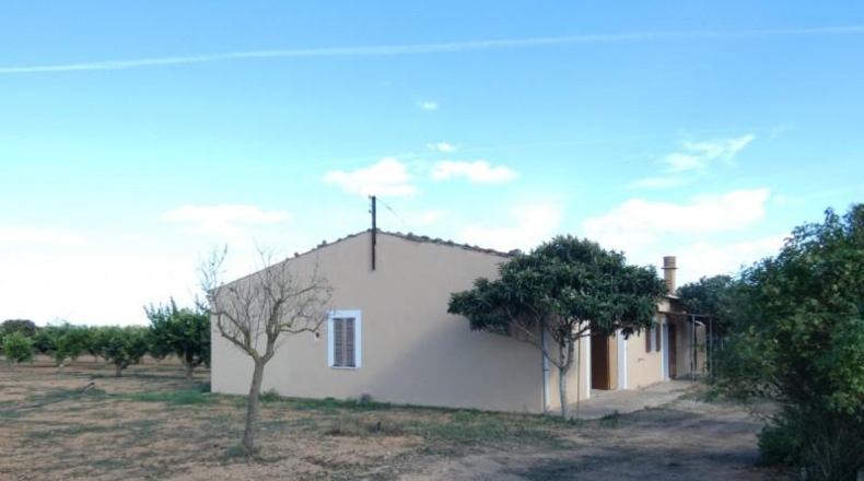 Islas Baleares - Porreres - 22600m2