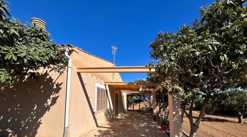 Islas Baleares - Porreres - 22600m2