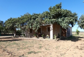 Foto 7
