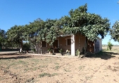 Chalet independiente con terreno en venta en la España, Porreras, ref: TR156709 foto