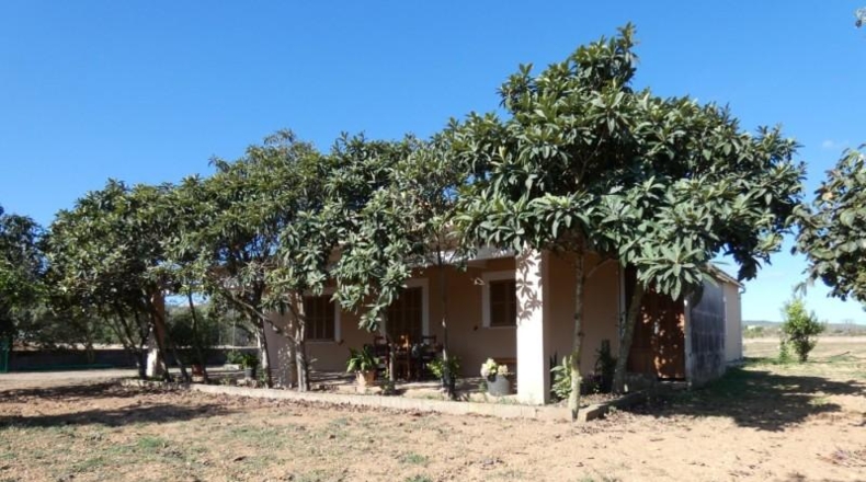 Islas Baleares - Porreres - 22600m2