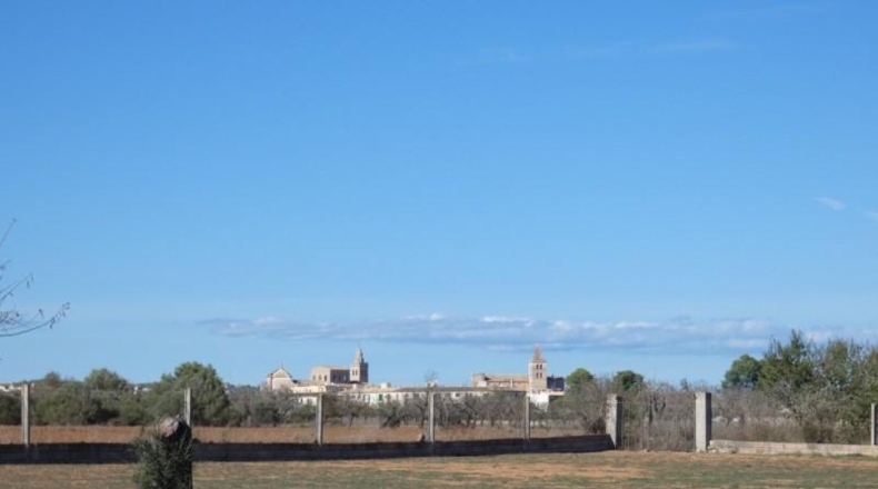 Islas Baleares - Porreres - 22600m2