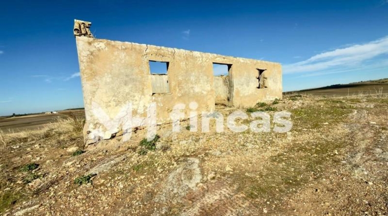Seville - Utrera - 364000m2