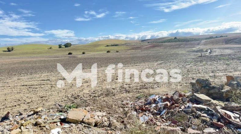 Seville - Utrera - 364000m2