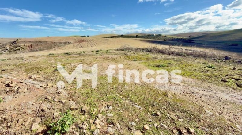 Seville - Utrera - 364000m2